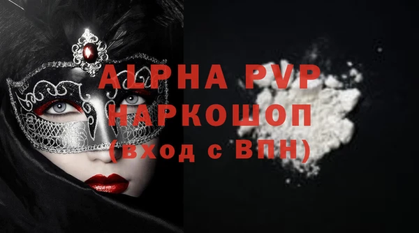 шишки Беломорск