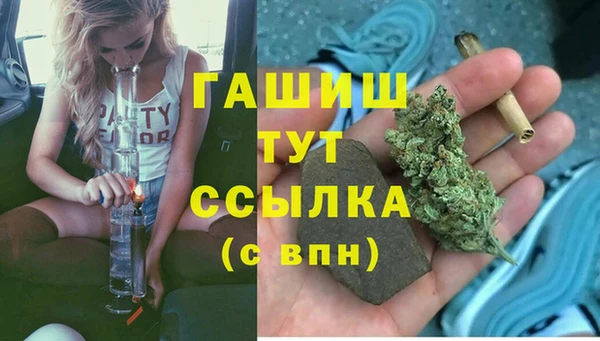 шишки Беломорск