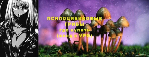 шишки Беломорск