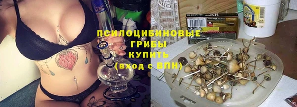 крисы Белокуриха
